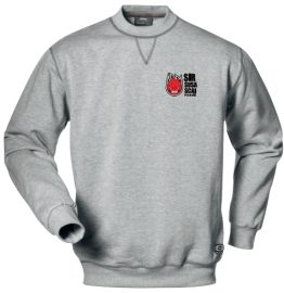 FELPA GIROCOLLO SIR SUSA SCAI PERUGIA