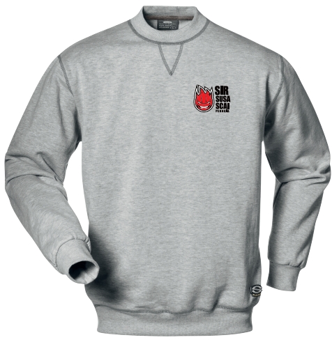 felpa girocollo grigia fronte